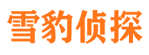 南召侦探公司